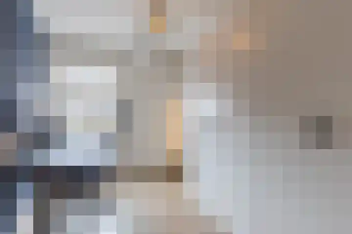 Koolbogt 60 Bladel thumbnail 17