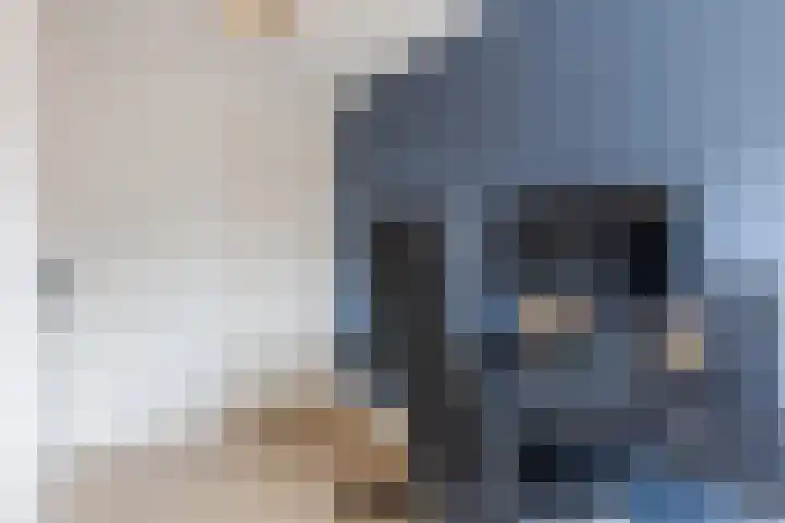 Koolbogt 60 Bladel thumbnail 18