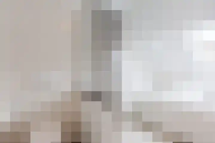 Koolbogt 60 Bladel thumbnail 21