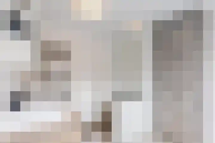 Koolbogt 60 Bladel thumbnail 22