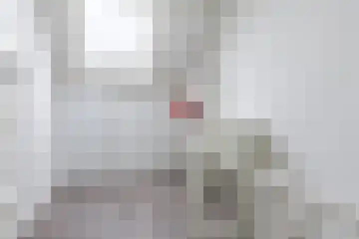 Koolbogt 60 Bladel thumbnail 23