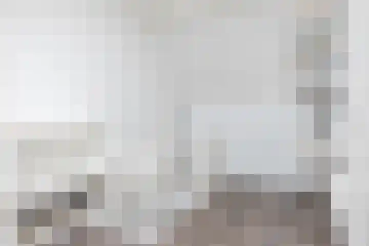 Koolbogt 60 Bladel thumbnail 24