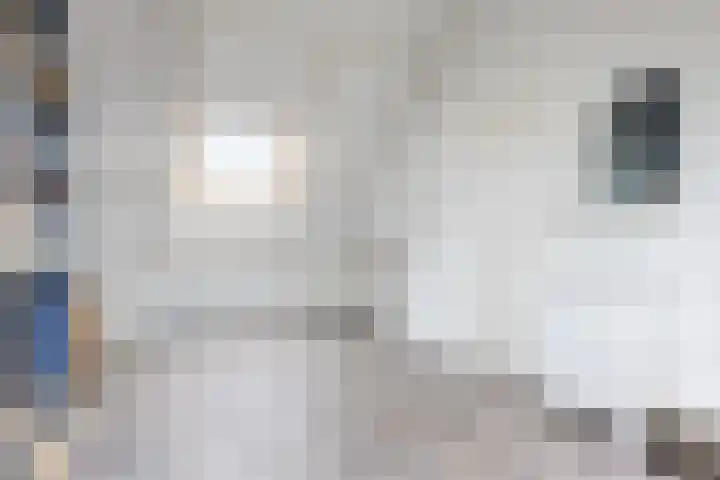 Koolbogt 60 Bladel thumbnail 25