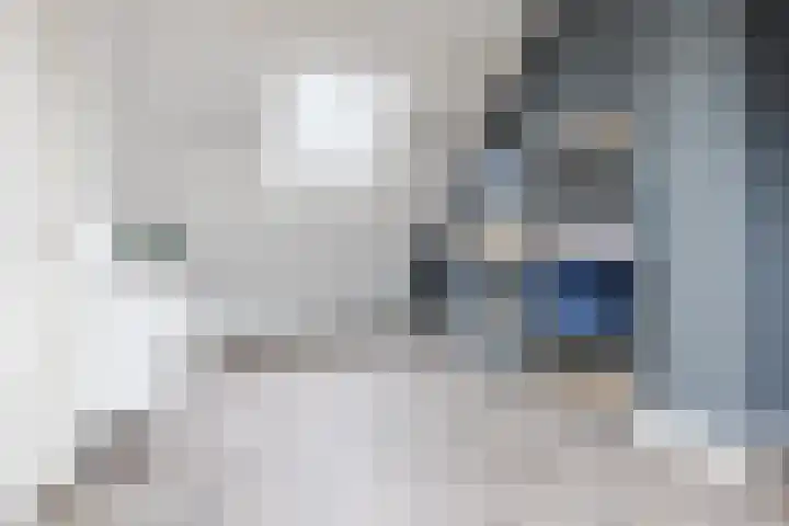 Koolbogt 60 Bladel thumbnail 26