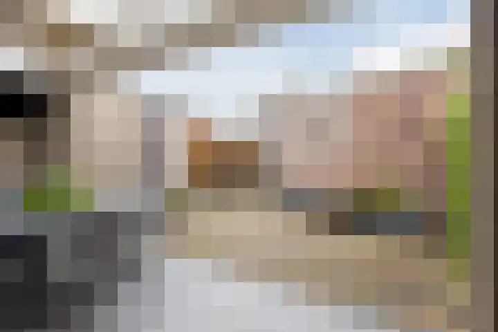 Koolbogt 60 Bladel thumbnail 27