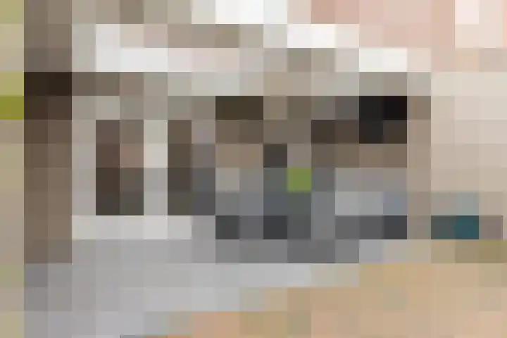Koolbogt 60 Bladel thumbnail 28