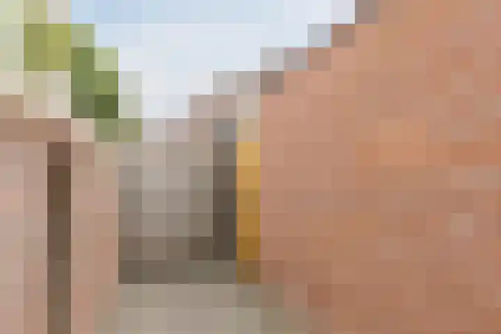 Koolbogt 60 Bladel thumbnail 30