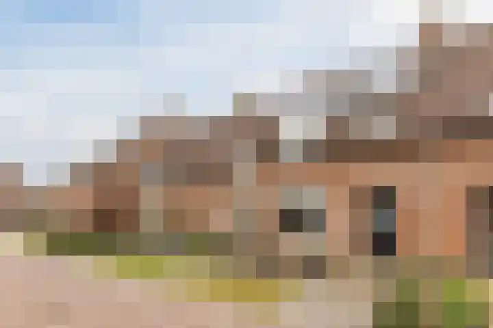 Koolbogt 60 Bladel thumbnail 32