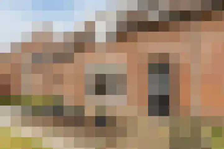 Koolbogt 60 Bladel thumbnail 33