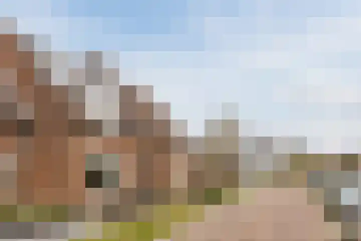 Koolbogt 60 Bladel thumbnail 34