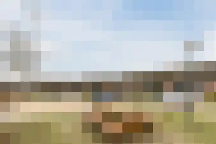 Koolbogt 60 Bladel thumbnail 35