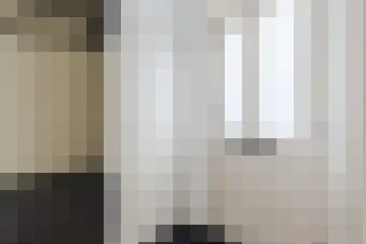Koolbogt 60 Bladel thumbnail 4