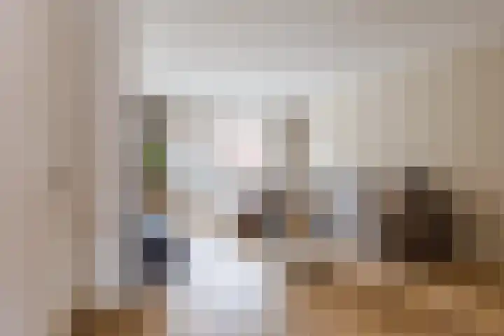 Koolbogt 60 Bladel thumbnail 6