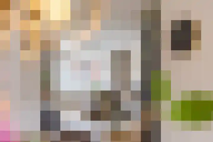 Koolbogt 60 Bladel thumbnail 7