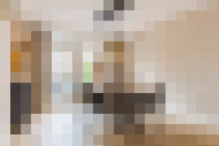 Koolbogt 60 Bladel thumbnail 8