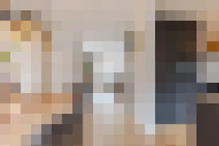 Koolbogt 60 Bladel thumbnail 9