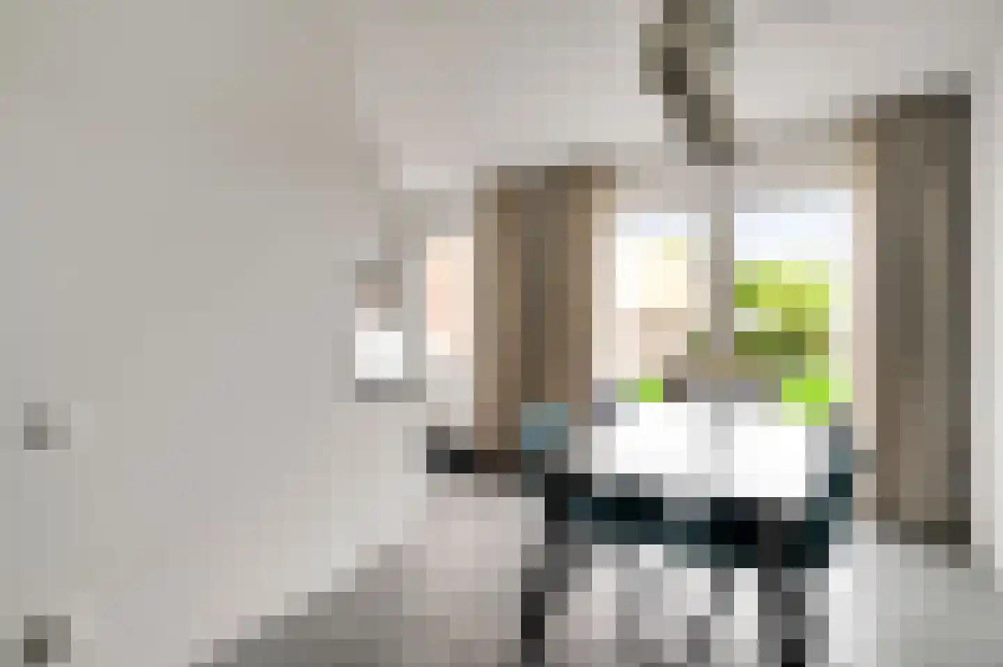 Kooldragererf 14 Roermond thumbnail 10