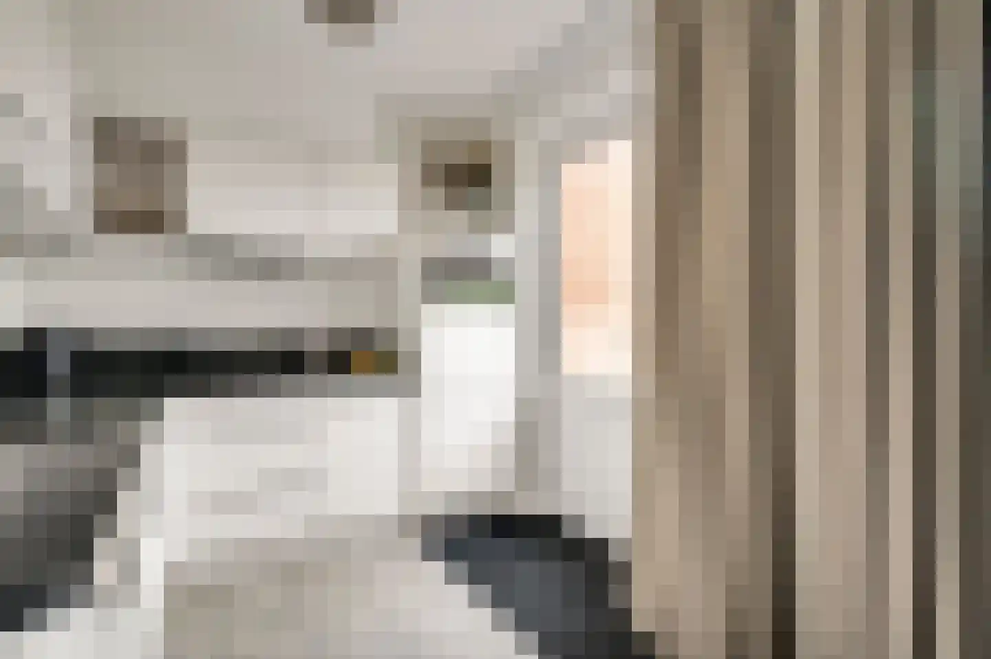 Kooldragererf 14 Roermond thumbnail 12
