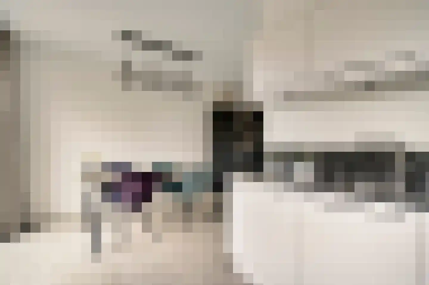 Kooldragererf 14 Roermond thumbnail 13