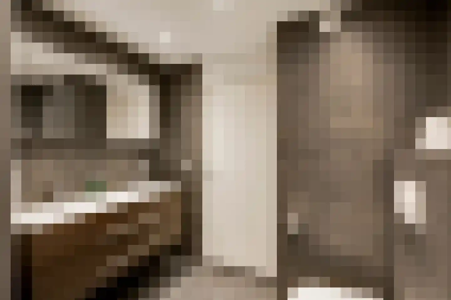 Kooldragererf 14 Roermond thumbnail 18