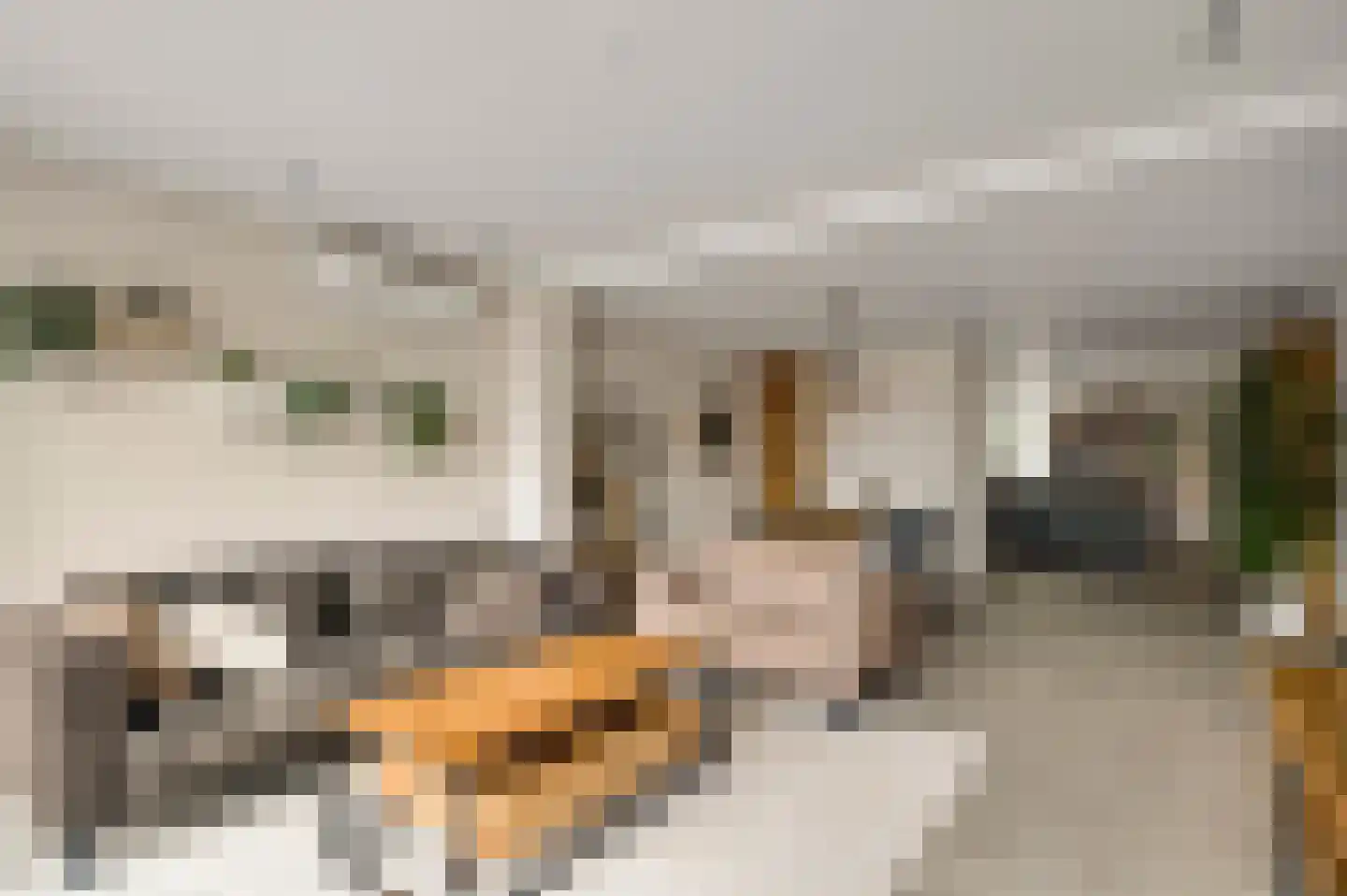 Kooldragererf 24 Roermond thumbnail 14