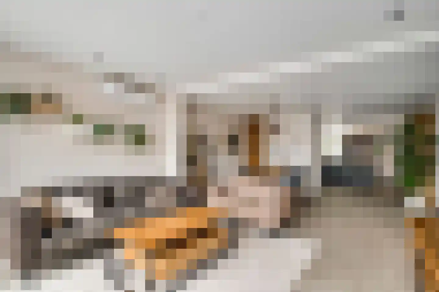 Kooldragererf 24 Roermond thumbnail 14