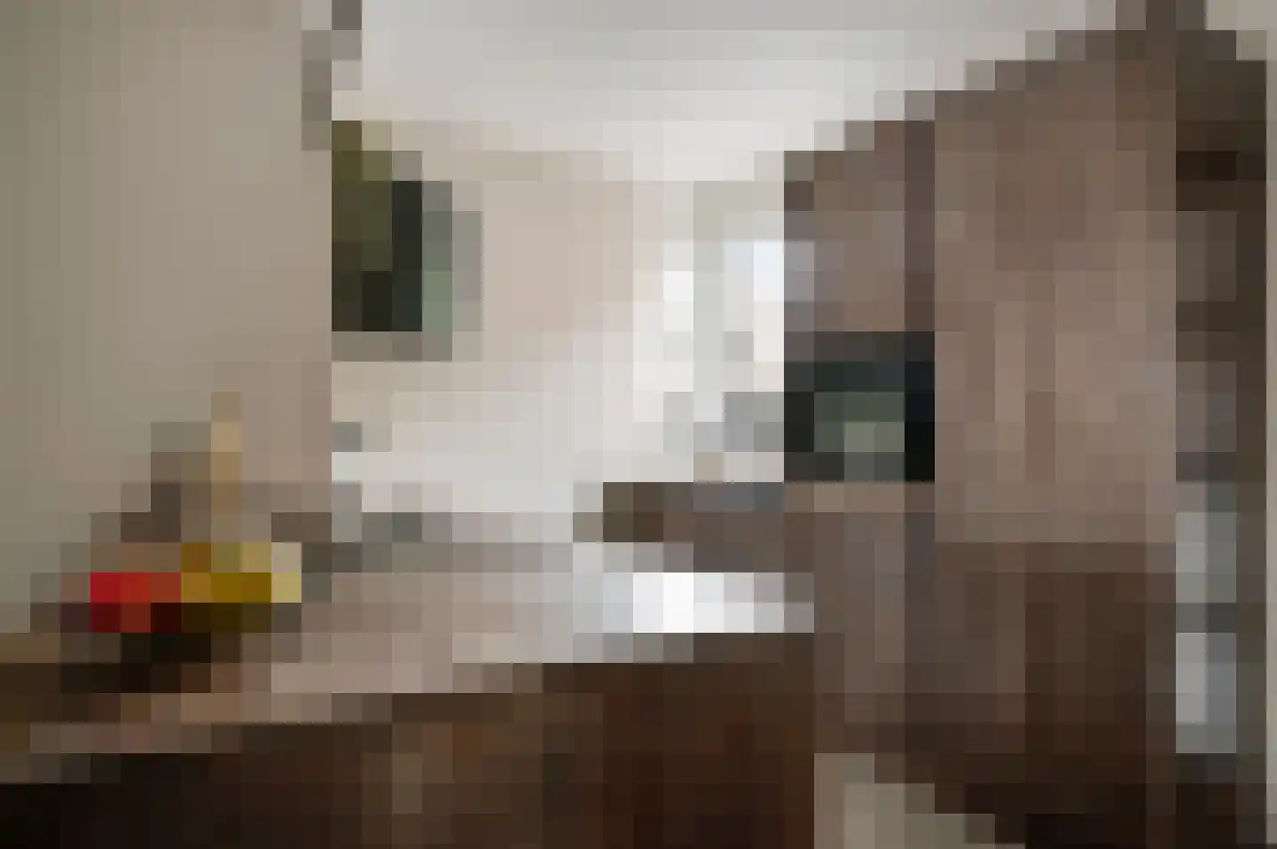 Kooldragererf 24 Roermond thumbnail 18