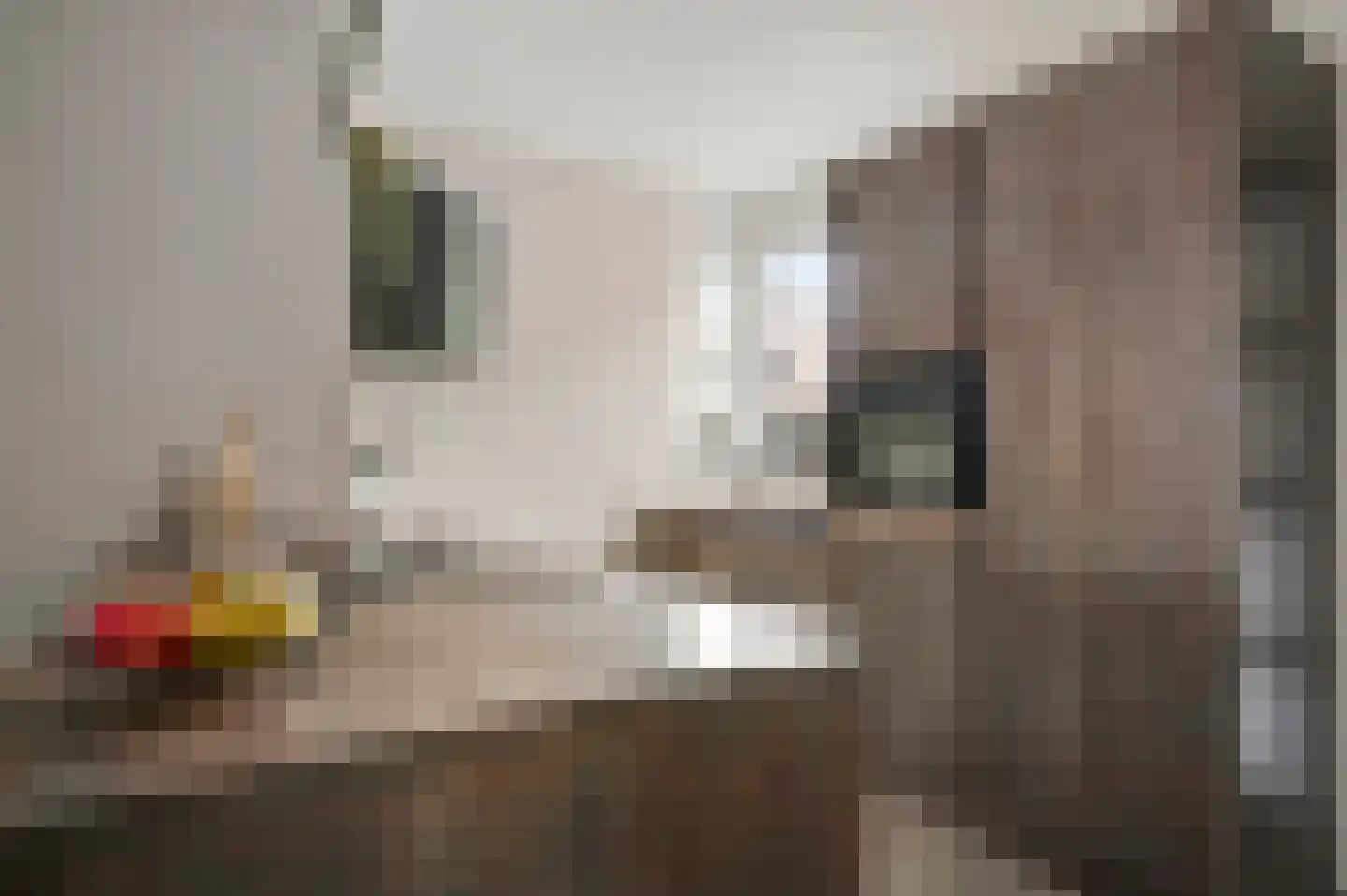 Kooldragererf 24 Roermond thumbnail 18