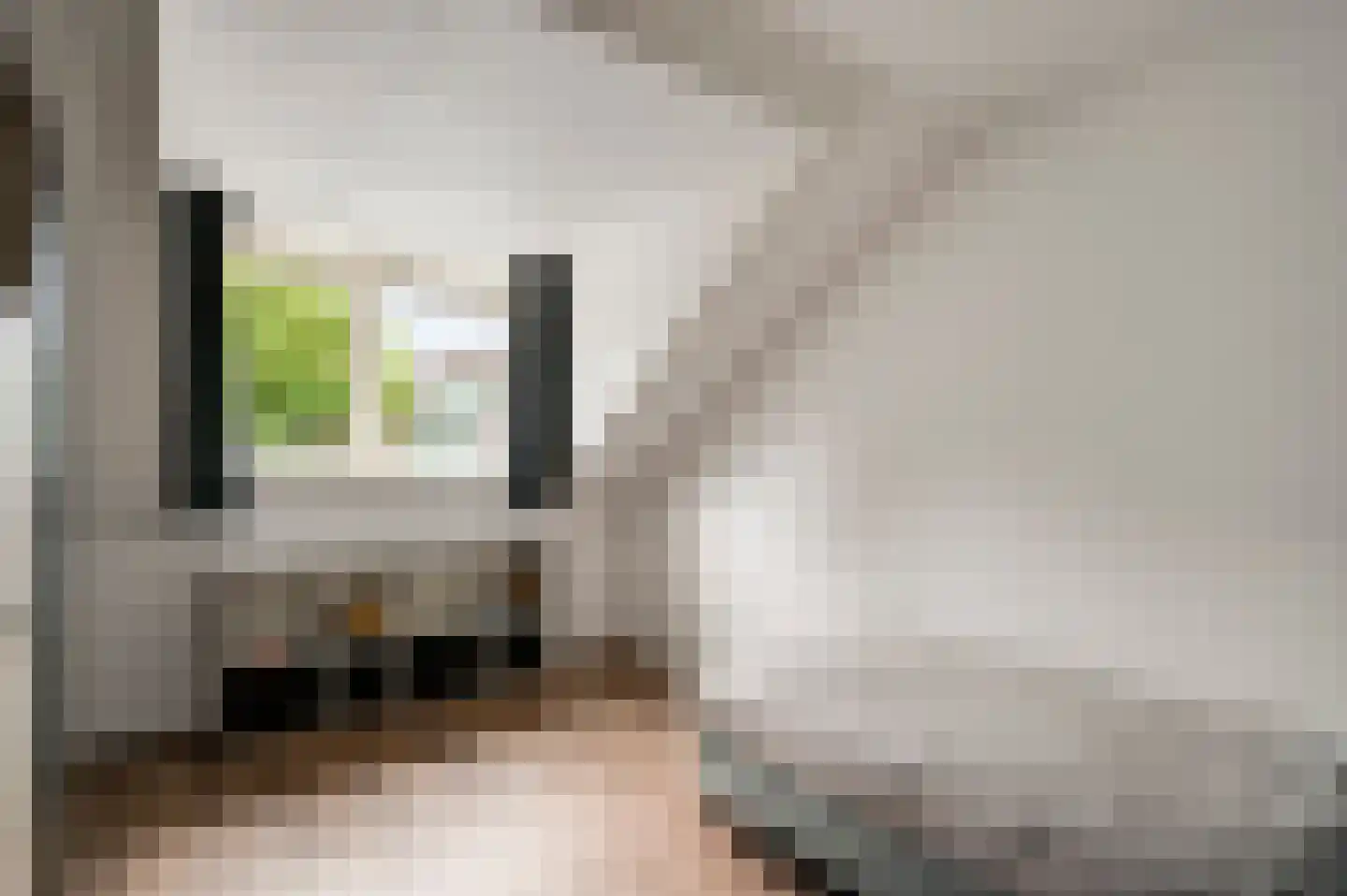 Kooldragererf 24 Roermond thumbnail 31
