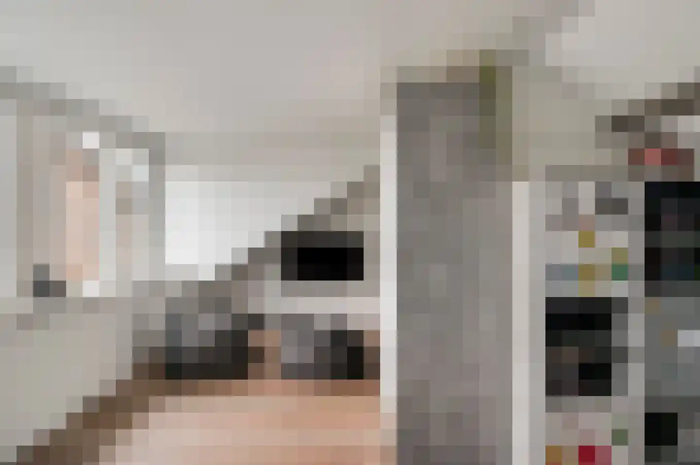 Kooldragererf 24 Roermond thumbnail 41