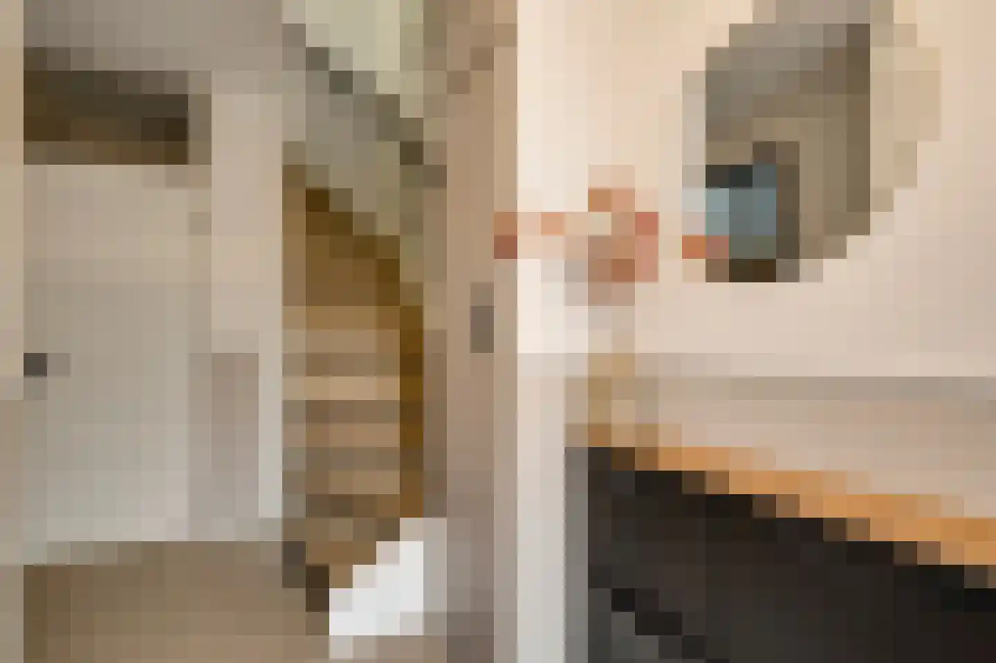 Kooldragererf 24 Roermond thumbnail 6
