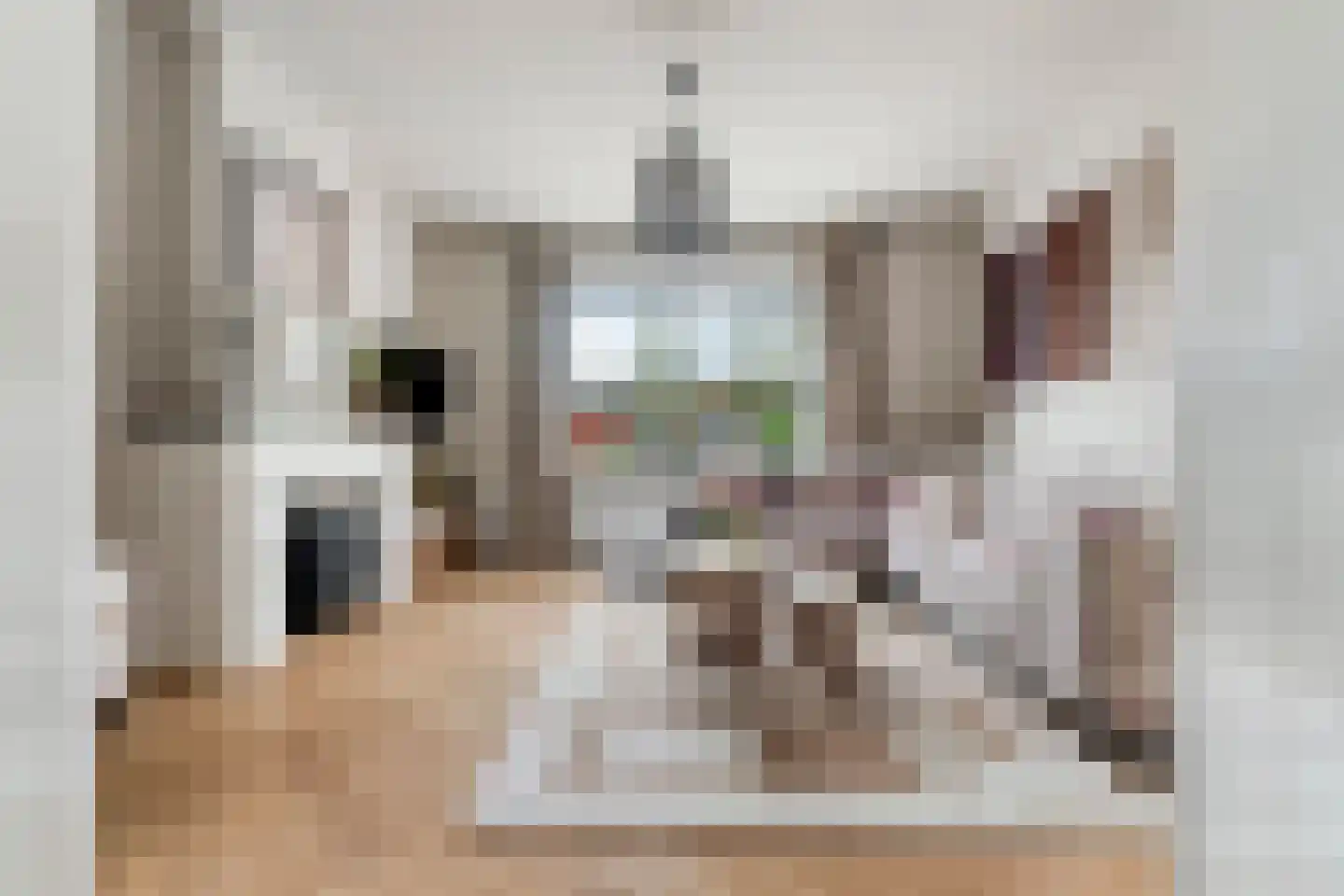 Koolemans Beynenstraat 130 Nijmegen thumbnail 5