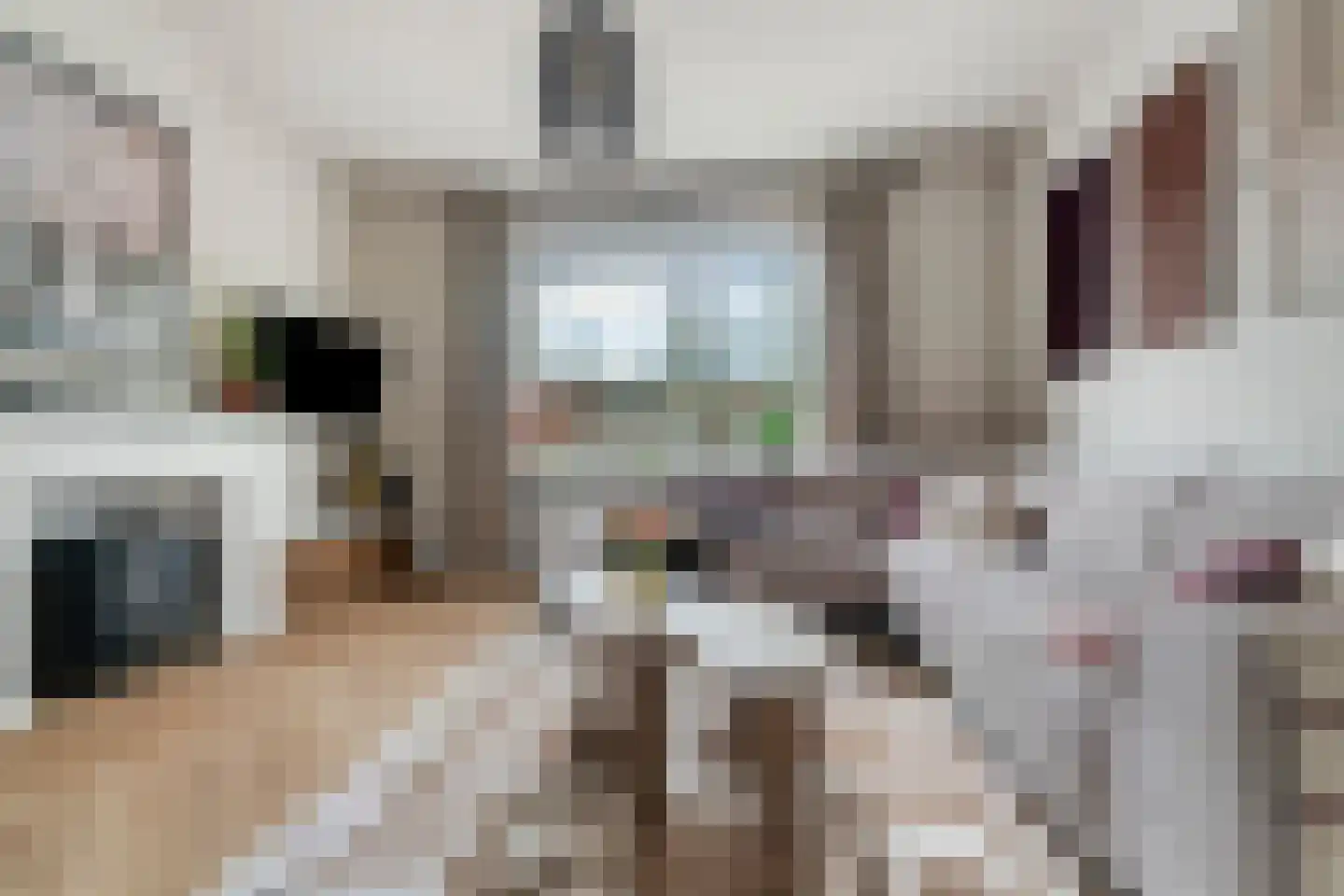 Koolemans Beynenstraat 130 Nijmegen thumbnail 6