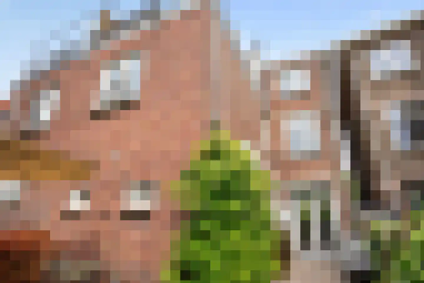 Koolemans Beynenstraat 26 Nijmegen thumbnail 12