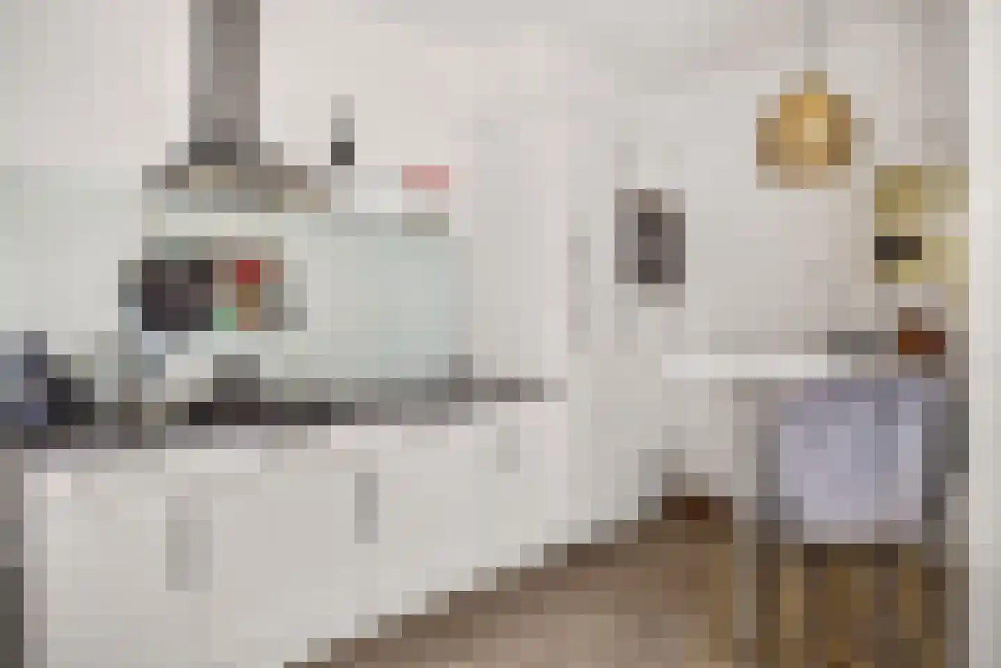 Koolemans Beynenstraat 26 Nijmegen thumbnail 18