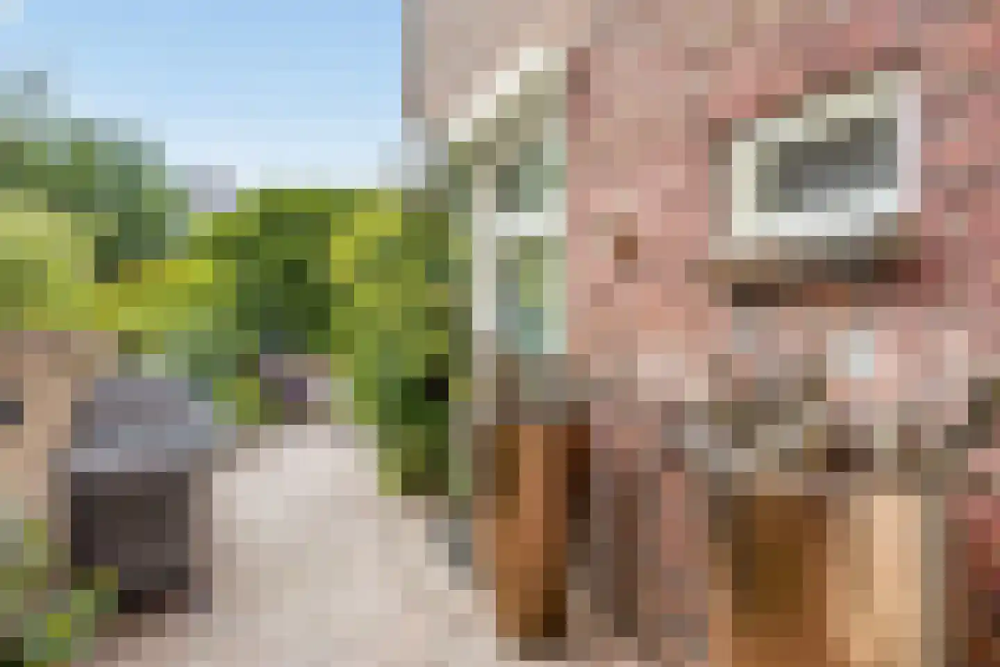 Koolemans Beynenstraat 26 Nijmegen thumbnail 8
