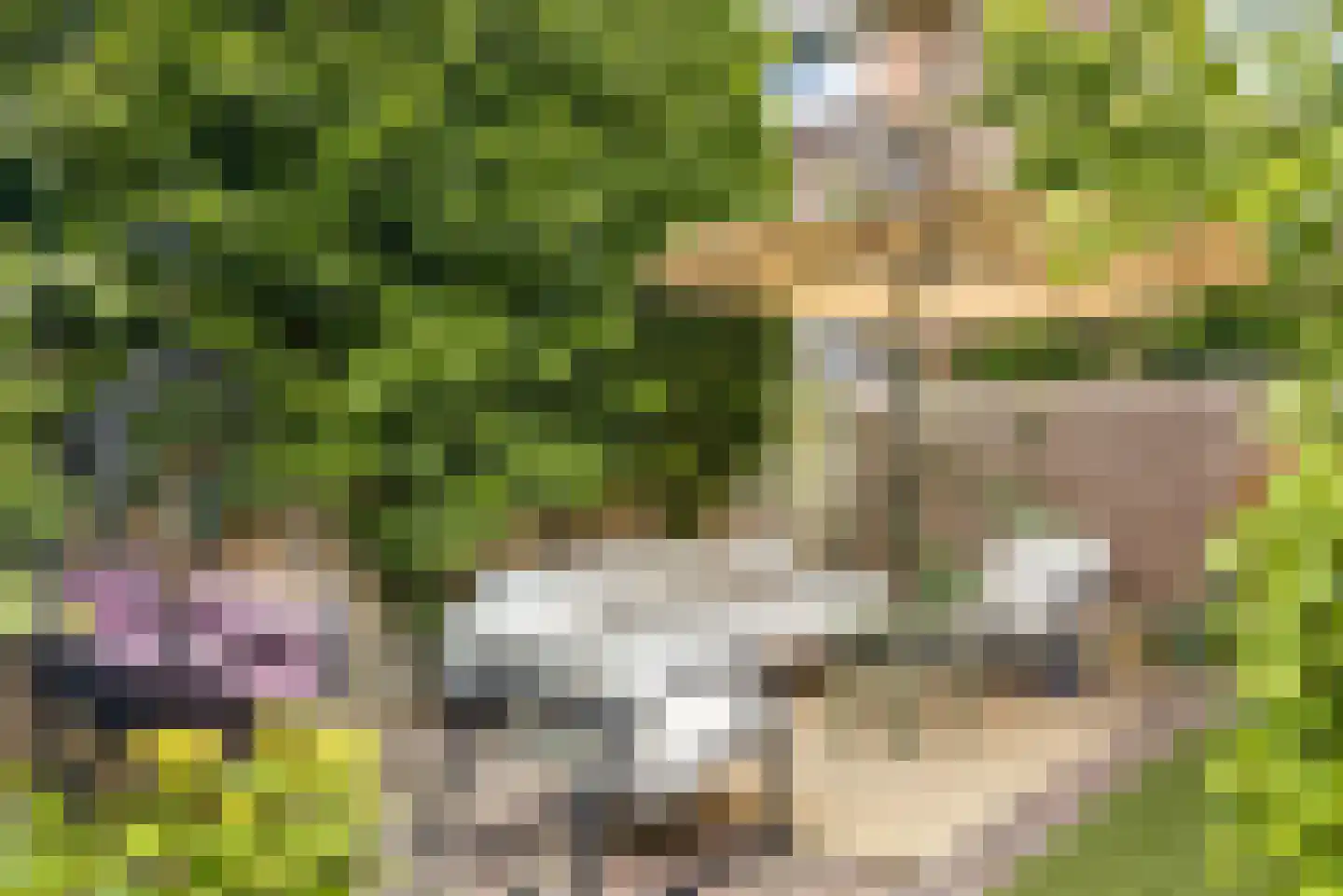 Koolemans Beynenstraat 26 Nijmegen thumbnail 9
