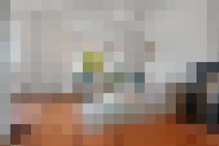 Koolemans Beynenstraat 32 Nijmegen thumbnail 16