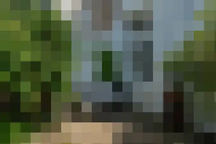 Koolemans Beynenstraat 96 Nijmegen thumbnail 36