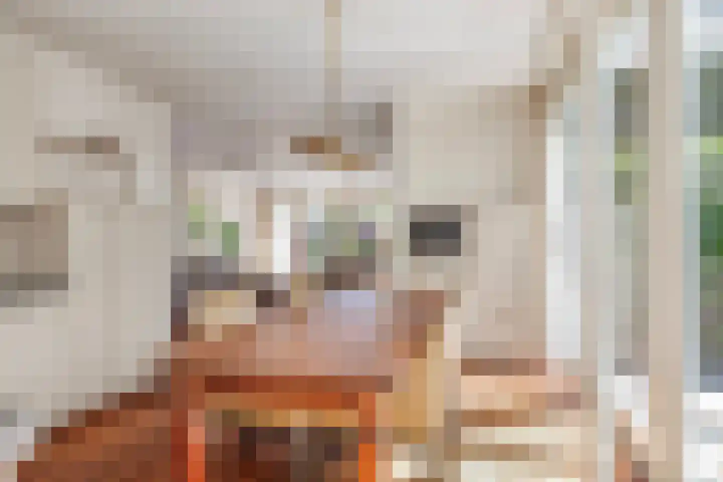 Koolenkampshof 5 Veghel thumbnail 11