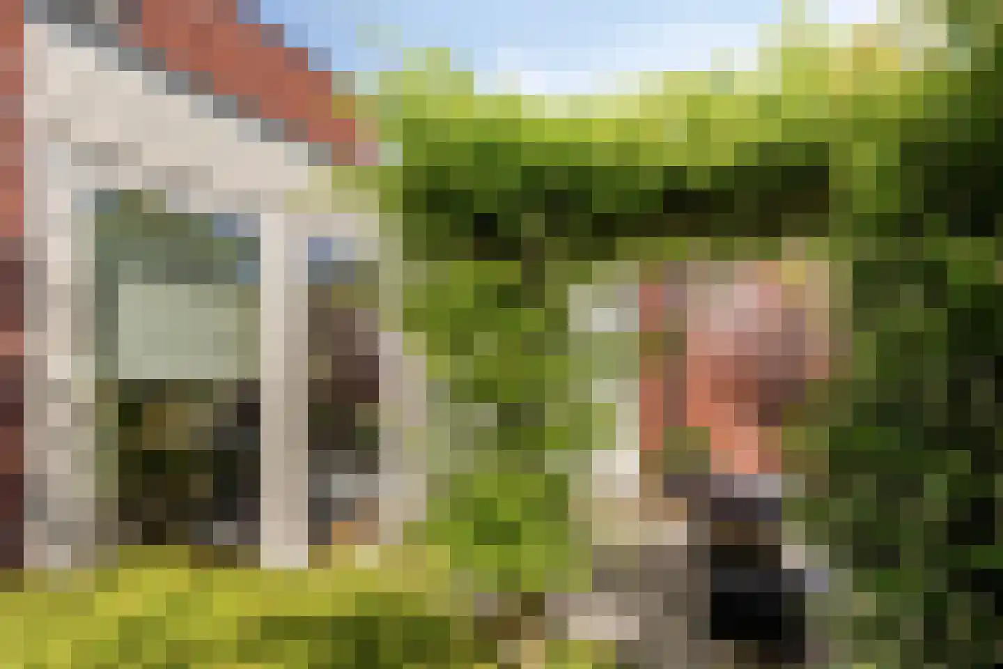Koolenkampshof 5 Veghel thumbnail 24