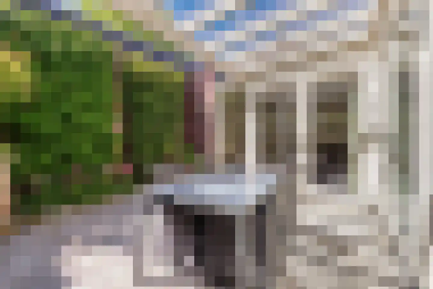 Koolenkampshof 5 Veghel thumbnail 25