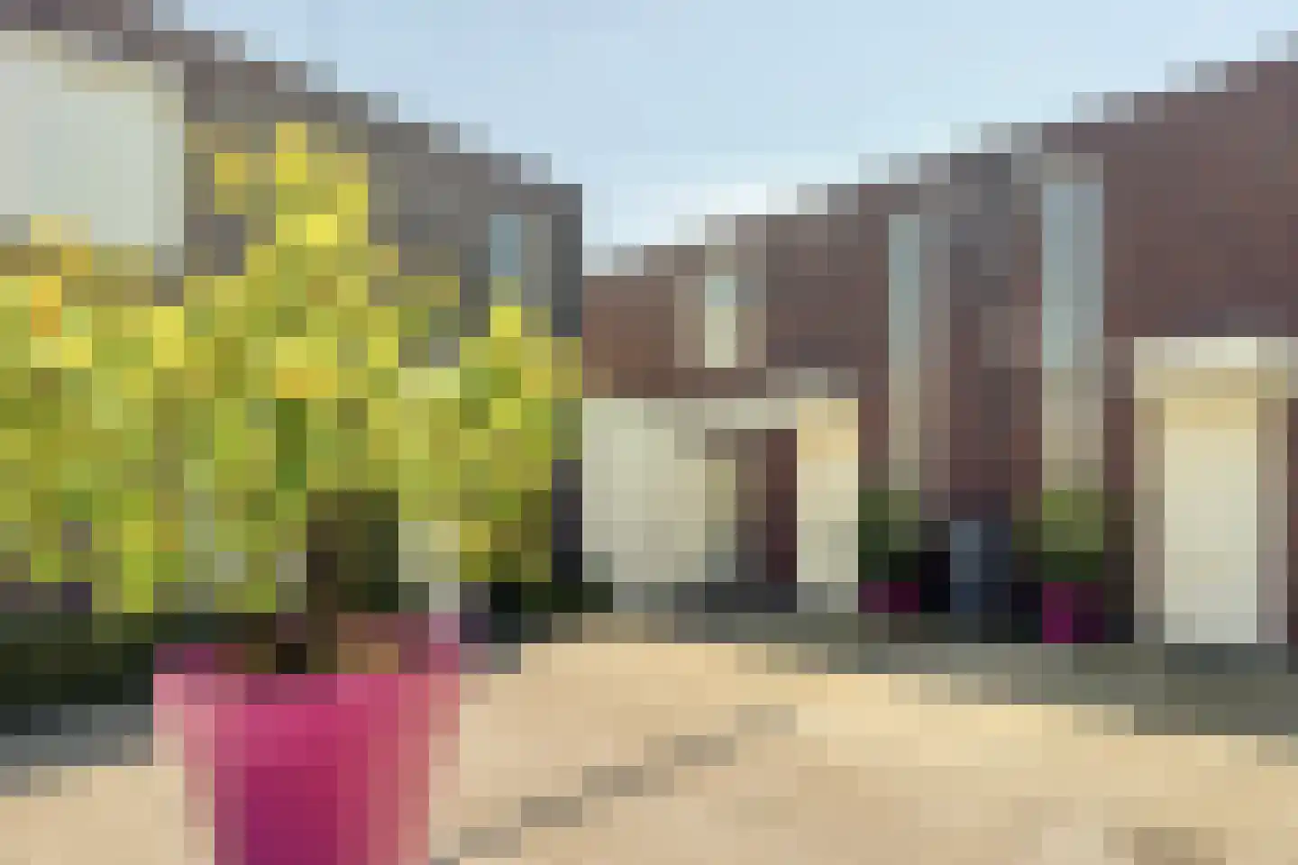 Koolenkampshof 5 Veghel thumbnail 26