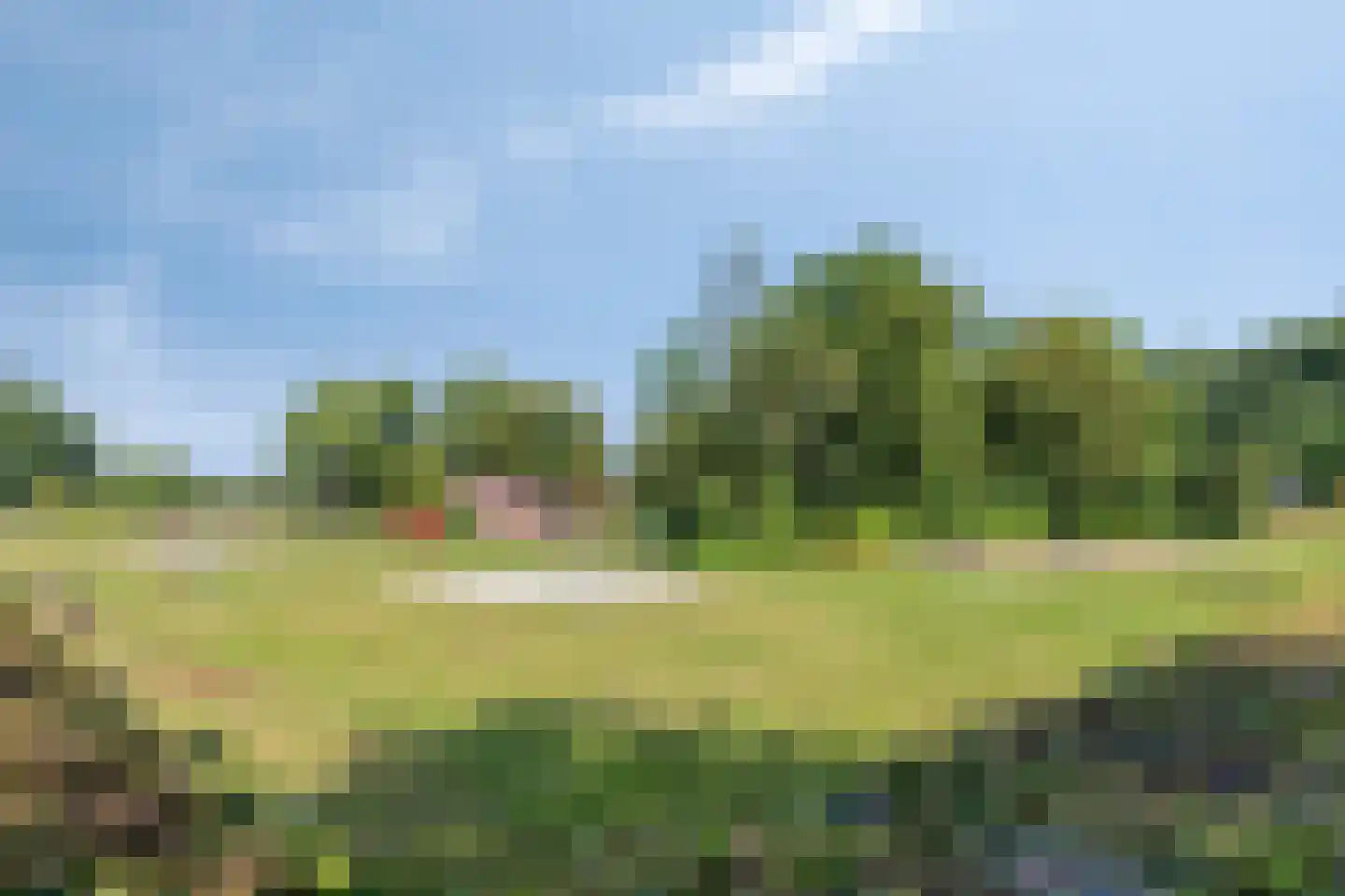 Koolenkampshof 5 Veghel thumbnail 27