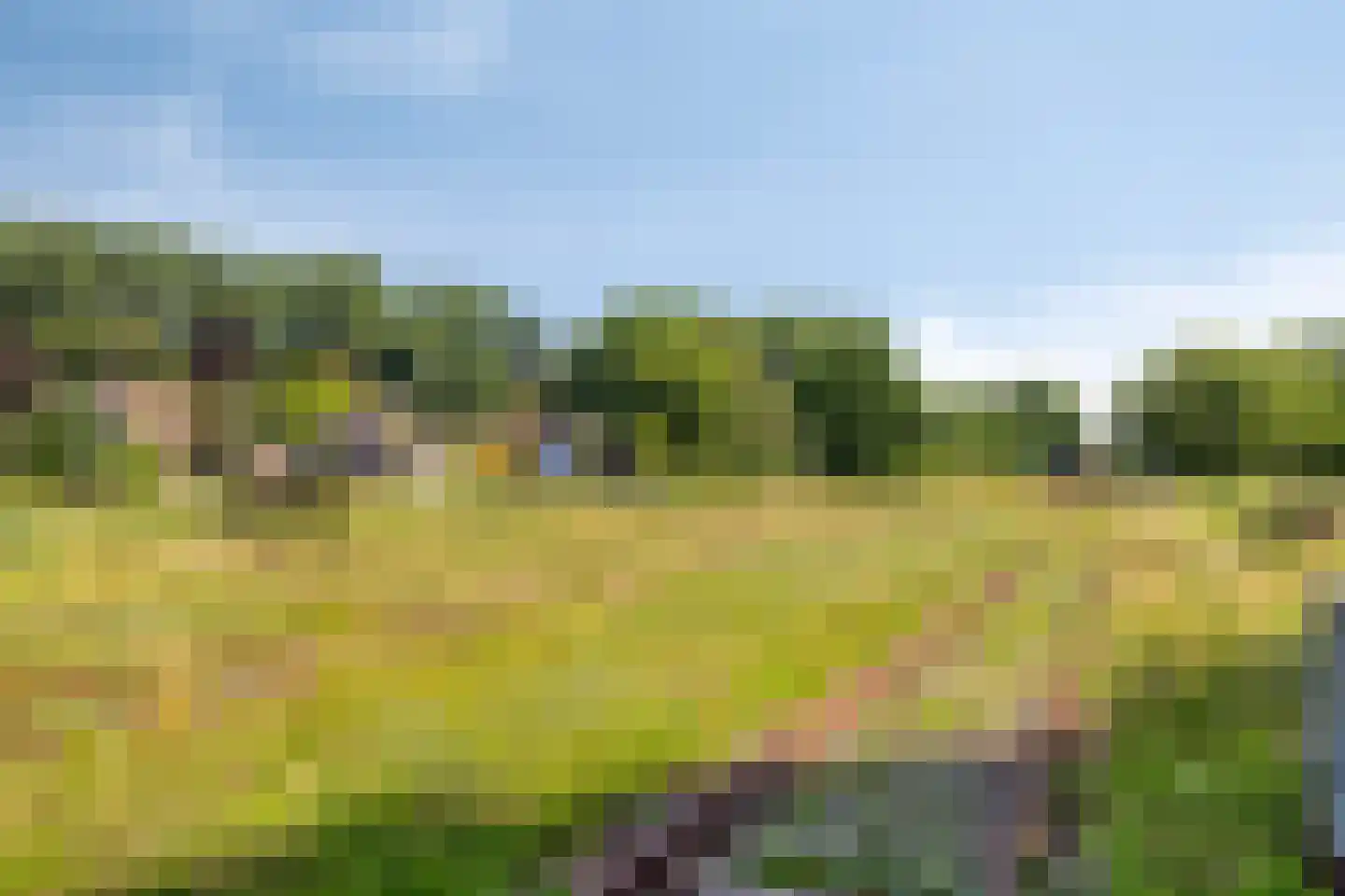 Koolenkampshof 5 Veghel thumbnail 29