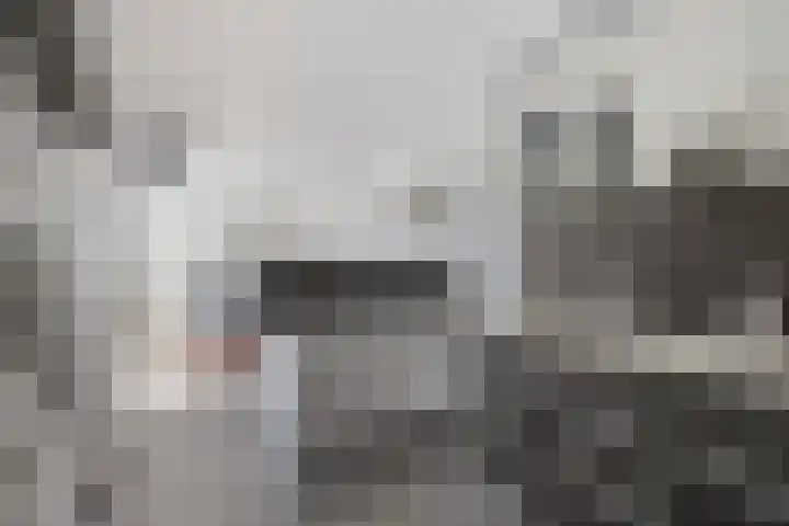 Koolenstraat 11 Oss thumbnail 13
