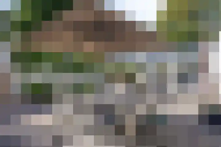 Koolenstraat 11 Oss thumbnail 21