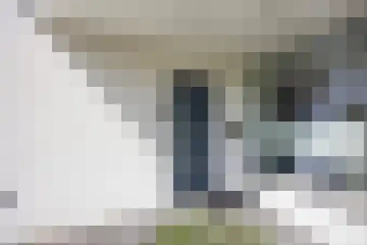 Koolenstraat 11 Oss thumbnail 26