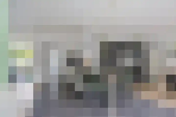 Koolenstraat 11 Oss thumbnail 5