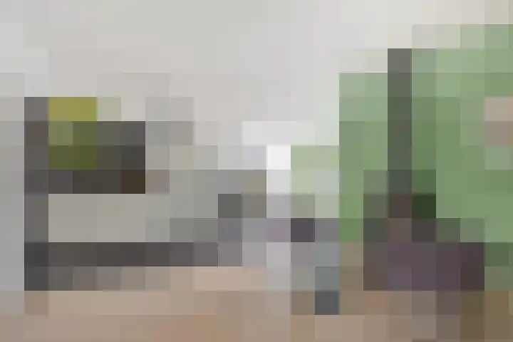 Koolenstraat 11 Oss thumbnail 6